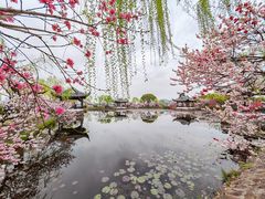 -无锡蠡湖国家湿地公园-蠡园