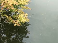 -醍醐寺
