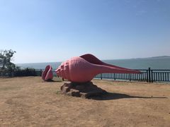 -漳州滨海火山岛自然生态风景区