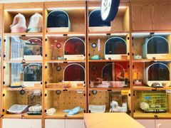 -Promise 国风宠物空间(上邦百汇城店)
