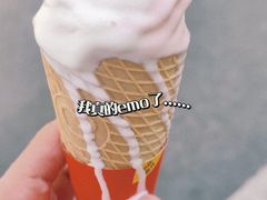 -蜜雪冰城·冰淇淋与茶(长郡中学店)