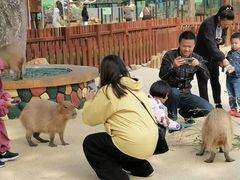 -大连森林动物园