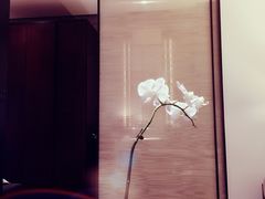 -上海璞麗酒店