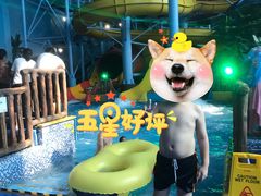 -青岛东方影都融创水世界