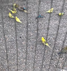 -萌宠亲子动物乐园(槐房万达店)