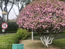 -华东饭店·园林式婚礼宴会厅酒店