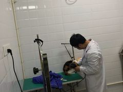 -圣宠动物医院·犬猫专科·影像中心·外科中心