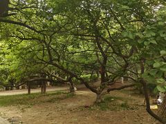 -前关湿地公园