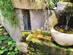 -往来·竹里.宝宝宴.生日宴.团建.宴席(花乡农居店)