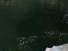 -黑河国家森林公园