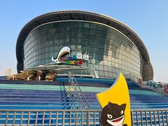 -海合安天津极地海洋公园