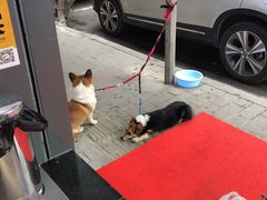 -咕噜咕噜·章鱼小丸子(广州荔湾领展广场店)