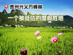 -万峰林风景区