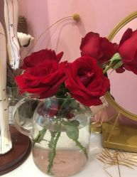 -汐月Health纤体spa中心