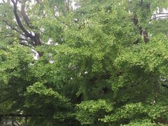 -浮来山风景区