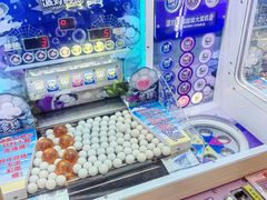 -汤姆熊欢乐世界(正大店)