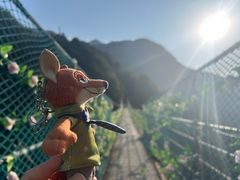 -遂昌金矿国家矿山公园