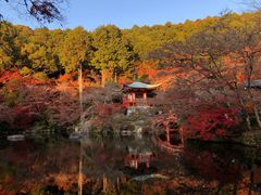 -醍醐寺