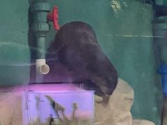 -重庆欢乐海底世界
