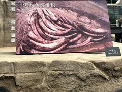 -金沙遗址博物馆
