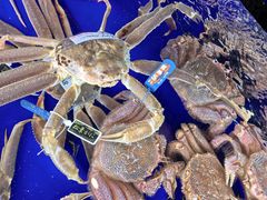 -蟹道乐(道顿堀本店)