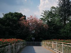 -南宁南湖公园
