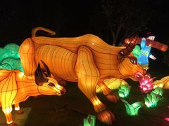-武汉园博园(武汉自然博物馆)