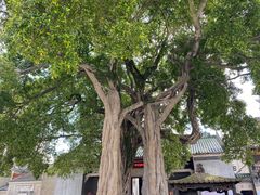 -悦城龙母祖庙