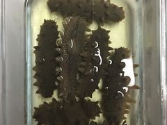 -AEON永旺(东方宝泰店)