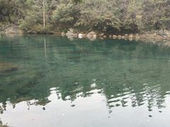 -石台牯牛降景区