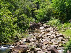 -广州白江湖森林公园