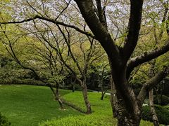 -中国茶叶博物馆(双峰馆区)