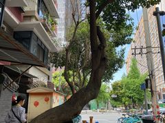 -纯阳馆鱼香排骨面(东二道街店)