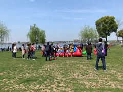 -鹅湖玫瑰文化园