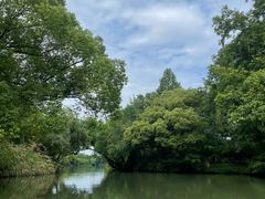 -西溪国家湿地公园