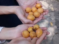 -西南政法大学(沙坪坝校区)