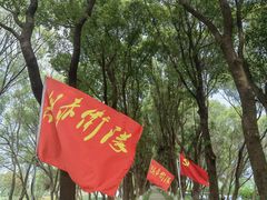 -洪湖生态旅游区