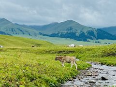 -新疆那拉提国家旅游度假区