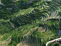 -紫鹊界梯田景区