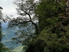 -塔云山
