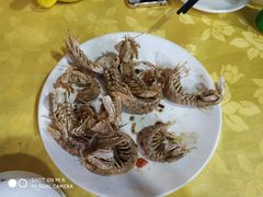 -莲花公园煎蟹(总店)