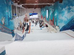 -Mr·Kuma酷么先生雪之乐园