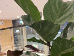 -Makumo·卷云家庭料理餐厅(美糖广场店)