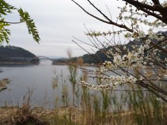 -广州市流溪河国家森林公园