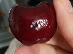 -菜园坝水果市场