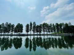 -东湖听涛景区
