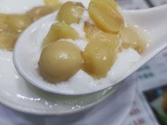 -义顺牛奶公司(新马路老店)