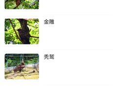 -哈尔滨北方森林动物园