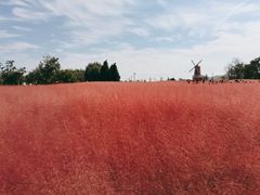 -羊亭河湿地公园