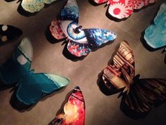 iphone_upload_pic-蝴蝶汇音乐酒馆(罗湖店)